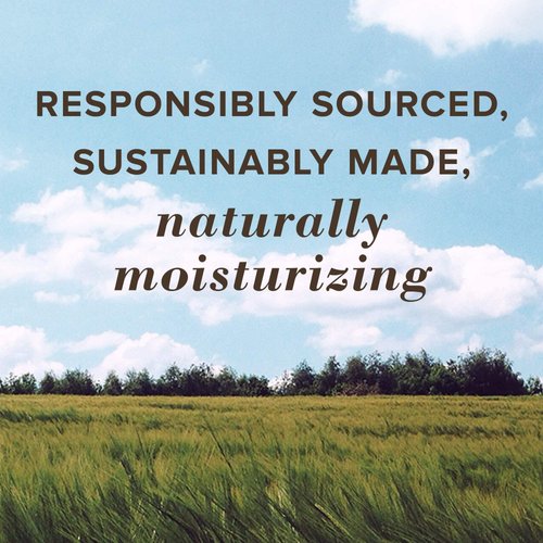 Burt's Bees Lip Balm Stocking Stuffers, Moisturizing SPF 15 Lip Care Christmas Gifts, for All Day Hydration, Water Resistant, All-Weather, Natural Origin Treatment with Sunscreen (2-Pack)