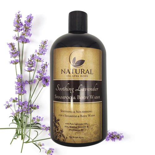 Natural Escapes Organic Soothing Lavender Shampoo & Body Wash | Calming Sulfate-Free Shampoo & Body Wash Leaves Skin Soft, Hydrated & Healthy | Great for Sensitive Skin | 16 oz