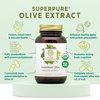 PURE SYNERGY SuperPure Olive Extract | Olive Leaf Extract Capsules | Organic Olive Leaf Supplement with Olive Oil Polyphenols | for Heart, Brain, and Immune Health (60 Capsules)