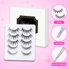 False Eyelashes Looks So Natural Wispy Lashes Includes 5 Pairs Of Lashes Reusable Strip Lashes Easy to Apply Glue On
