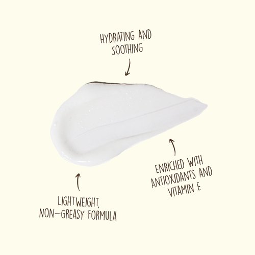 Sun Bum Cool Down Aloe Vera Lotion | Vegan After Sun Care with Cocoa Butter to Soothe and Hydrate Sunburn Pain Relief | 8 oz