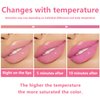LemonSac 2PCS Color Changing Lip Oil, Magic Color Changing Lip Oil V2, Lip Oil Cosmetics,Warm Change Moisturizing Lip Gloss, Conversion Lip Glow Oil Non-Sticky Primer Lip Tint