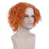 MAGQOO Mens Orange Wig Short Curly Spiky Mad Wig Synthetic Heat Resistant Cosplay Costume Wigs
