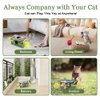 Abnaok 2-in-1 Cat Toy, Cat Interactive Toys for Indoor Cats Kitten Tumbler Balls Kitty Feather Toy, Cat-Digging Hole Toy Suitable as a Birthday Gift