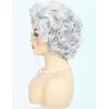 Bettecos Old Lady Wig Costume Set for Women Short Curly Grandma Wig and Glasses Silver White Granny Wigs for Old Woman Cosplay Halloween Party (Silver White/Old Lady)
