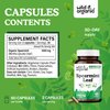 Wild & Organic Spearmint Capsules - 1000 mg Spearmint Supplement for Digestive Support - 30 Days of Supply - 60 Leaves Extract Capsules - Vegan, Non-GMO, Gluten-Free, No Fillers