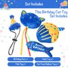 BINGPET Cat Birthday Catnip Toys for Indoor Cats,Cat Birthday Hat and Cat Birthday Cake Interactive Plush Kitten Chew Toys,Cute Cake, Fish,Balloon Toys with Crinkle Paper and Catnip Inside Cat Gifts