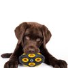 Pets First NFL Green Bay Packers Football Treat Dispensing Toy for Dogs and Cats, Rubber Ball Dog Toy, Interactive Fun Dog Treat Toy, Natural Rubber Dog Feeding Toy