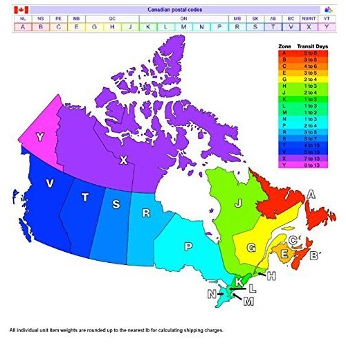 The Party Continues 40th Birthday Paper Cups 8ct [Toy] by Amscan