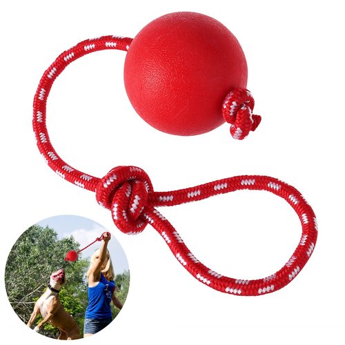 UEETEK Ball On Rope Dog Toy : Rubber Dog Ball with Rope Dog Training Ball Puppy Toys Dog Chew Toy for Small Dog Playing Training Exercising, Ball Diameter 2.95 inch
