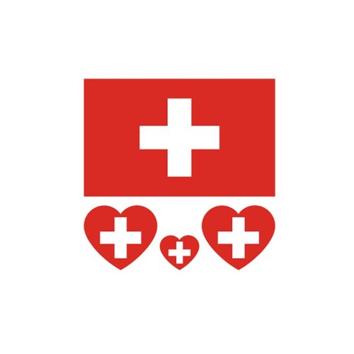 ZPDNURZL 10 Sheets Switzerland Flag Tattoos Stickers 40 Pcs Waterproof Sweat Sports National Flag Removable Fake Tattoos