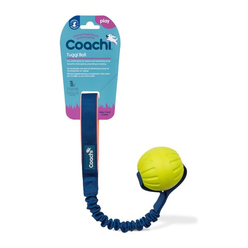 Coachi Tuggi Ball - Interactive Dog Toy for Tug of War & Play. Strong & Comfortable, Stretchy Bungee Handle, Reward Training, Interrupting Biting & Chewing. Ideal for Agility and Suitable for Puppies