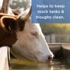 Healthy Ponds Stock Tank Water Trough Cleaner for Horse, Cattle, Goat & Chicken | All-Natural Safe & Easy to Use 6 Refills