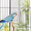 Stainless Steel Bell Toy Bird Cage Hanging Bite Toy for Parrot Parakeet Budgie Cockatiel Conure African Greys (S)