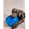 SuperChewy Tough Flying Disc Toy Strong Natural Rubber | Great Dog Fetch Toy | Rubber Disc Toy for Dogs | Ultra Durable Chew Toy for Aggressive Chewers