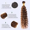 Water Wave Human Hair Bundles Ombre Honey Blonde Curly Bundles, P4/27 Highlighted Wet And Wavy Human Hair Bundles Weave Brown Piano Color, Soft & Shed-free 10A 100% Virgin Hair 3 Bundles 10 12 14 Inch