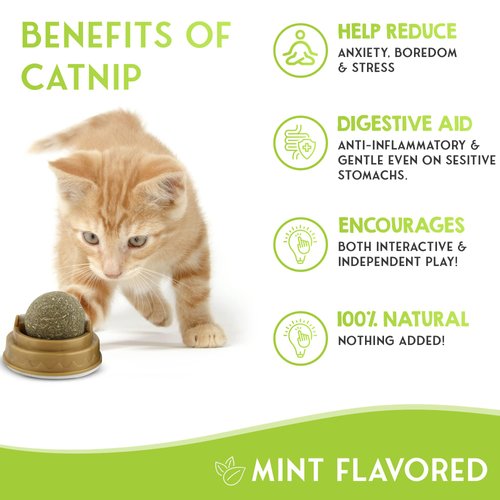 Cat Nip Ball Cat Toy with Cover, Qty 1, Self-Adhesive Catnip Balls Cute Cat Toys for All Cat Breads