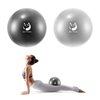 Slim Panda Pilates Ball 2 Pcs,9 Inch Small Exercise Ball, Therapy Ball, Core Ball, Mini Yoga Ball for Pilates, Balance, Stability, Workout, Core Training and Physical Therapy