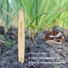 Virgin Forest Bamboo Toothbrush, Natural Eco Friendly Biodegradable Charcoal Tooth Brushes, Pack of 6