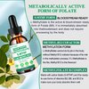 Methylfolate Supplement Liquid Drops, L Methy Folate 15mg Plus Methy B12, B6, B2 Multivitamin, Metabolically Active 5-MTHF Form for Mood Homocysteine Methylation Cognition Energy Nerve Health*