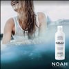 Noah Hair - 2.1 Nourishing Conditioner with Mango - Organic Conditioner - With Hydrolized Rice Protein – Detangling Conditioner - Hair Care for Natural Beauty - 8.5 fl.oz (250 ml) (Mango)