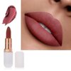 Phoera ABSOLUTE VELVET MATTE LIPSTICK LONG LASTING WATERPROOF PIGMENT MAKEUP (109 Tempt)