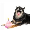 Midlee 2 Layer Birthday Cake 7" Tall Dog Toy (Pink)