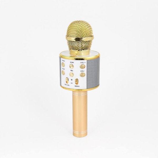 Wireless Karaoke Microphone – Bluetooth, Built-in Speaker, USB Rechargeable, 8-Hour Battery, for Android & More