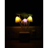 Rienar Sensor Led Night Light, Color Changing Plug-in LED Mushroom Dream Bed Lamp