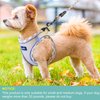 haapaw Dog Harness with Leash Set, No Pull Adjustable Reflective Step-in Puppy Harness with Thickened Padded Vest for Extra-Small/Small Medium Dogs