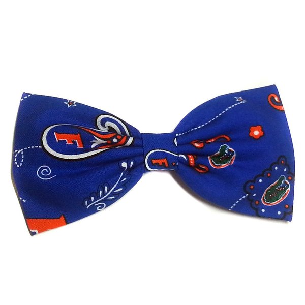 Uf Gators Paisley Hair Bow-blue and Orange, University of Florida, College, Football-for Girls, for Teens, for Women (Barrette)