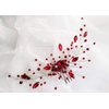 Kercisbeauty Women Red Hair Comb Wedding Bridal Crystal Clip Bridesmaid Hair Dress Prom Special Occasion Hair Accessories (Red)