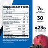 Nutricost BCAA + Hydration Powder (BlackBerry Plum) 30 Servings - Branched Chain Amino Acids with Hydration Complex - Gluten-Free, Non-GMO
