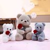 Ruzucoda Plush Teddy Bear with Rose Stuffed Animals Toys Dolls Valentine's Day Gifts for Girls Girlfriend Lover 9 Inches (Brown)