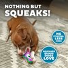 Outward Hound Durablez Tough Plush Squeaky Dog Toy, Owl, Purple, XS