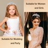 Dicodoum Silver Tiaras and Crowns for Women Girls, Crystal Birthday Queen Crowns with Comb Rhinestone Princess Tiara Hair Accessories Wedding Crown for Brides