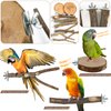 CZWESTC 8 Pieces Natural Wood Bird Perch Wooden Parrot Perch Stand Fork Toys Hanging Multi-Branch Perch Platform Hammock Swing Toy for Macaws, Small Parakeets, Conures, Budgies, Finches