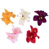 Framendino, 5 Pack Artificial Flower Hair Clips Hawaiian Amapola Flower Orchid Hair Barrettes Clips
