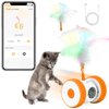 Cat Toys Cat Remote Control Toy, APP Bluetooth Connect Remote Control Cat Toys for Indoor Cats Electronic Automatic Moving Mouse Cat Toy with 6 Lights USB Rechargeable
