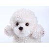 CU-MATE Poodle Plush Puppy Plushie Realistic Dog Stuffed Animal Toy Adorable Hugging Sleeping Pillow for Kids Friends
