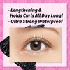 HEROINE MAKE by KISSME Mascara Duo Set | 2 Full-Size - Long & Curl Up Waterproof Mascara, Japanese Lengthening & Volume Fiber Tubing Eye Makeup, Black