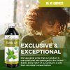 USDA Organic guayusa Loose Leaf Extract 12oz - Caffeine Extract Liquid guayusa Drink - for Increased Energy, Mood, Concentration, Immunity and Digestion - Natural Caffeine Energy Drink - Made in USA