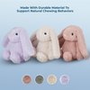 Best Pet Supplies Interactive Bunny Buddy Dog Toy with Crinkle and Squeaky Enrichment for Small and Medium Breed Puppies or Dogs, Cute and Plush - Bunny (Mauve), Small