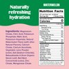 Ultima Replenisher Daily Electrolyte Drink Mix – Watermelon, 90 Servings – Hydration Powder with 6 Key Electrolytes & Trace Minerals – Keto Friendly, Vegan, Non-GMO & Sugar-Free Electrolyte Powder