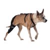 WALKABOUT Knee Brace (Medium 10-11" circumference 1" above right knee) 3mm neoprene support sleeve