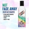 MANIC PANIC Not Fade Away Color Safe Shampoo for Color Treated Hair - Sulfate & Paraben Free - Vegan & Cruelty Free Moisturizing & Volumizing Shampoo (8oz)