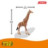 Schleich Wild Life, Animal Figurine, Animal Toys for Boys and Girls 3-8 years old, Male Giraffe, Ages 3+