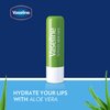 Vaseline Lip Therapy Aloe Fresh - Hydrating Lip Balm Pack, Vaseline Stick, Lip Moisturizer for Dry Lips, 0.16 Oz Each (Pack of 8)