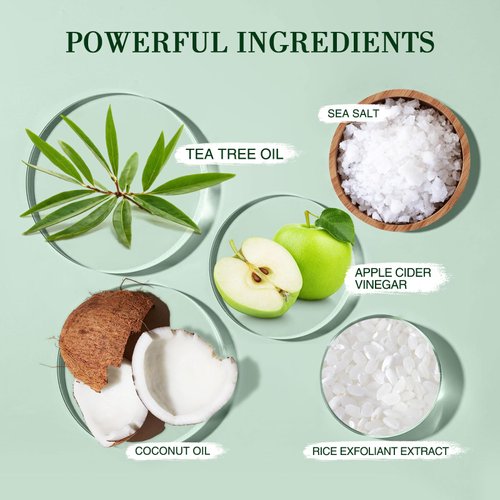 SHVYOG Scalp Scrub, Tea Tree Scalp Exfoliator, Scalp Exfoliator Scrub for Build Up, Itchy Scalp Relief Hair Treatment Nourishing Detox Hair Care with Scalp Massager, 10.58 oz