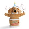 Fuzzwoof Birthday Cake Dog Toy, Singing and Dancing Birthday Songs, Interactive Dog Toys, Plush Stuffed Puppy Toys with Echo Function Feature, Happy Birthday Gift for Dogs